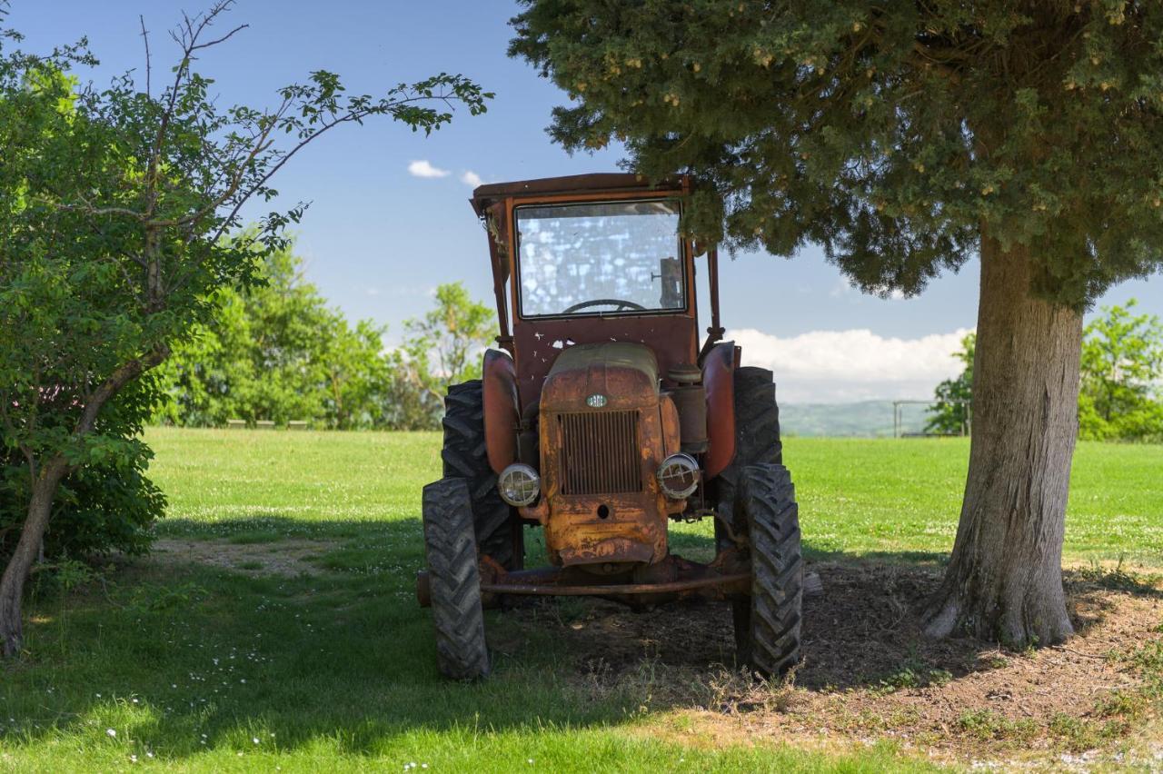 Agriturismo Cretaiole Pienza Extérieur photo