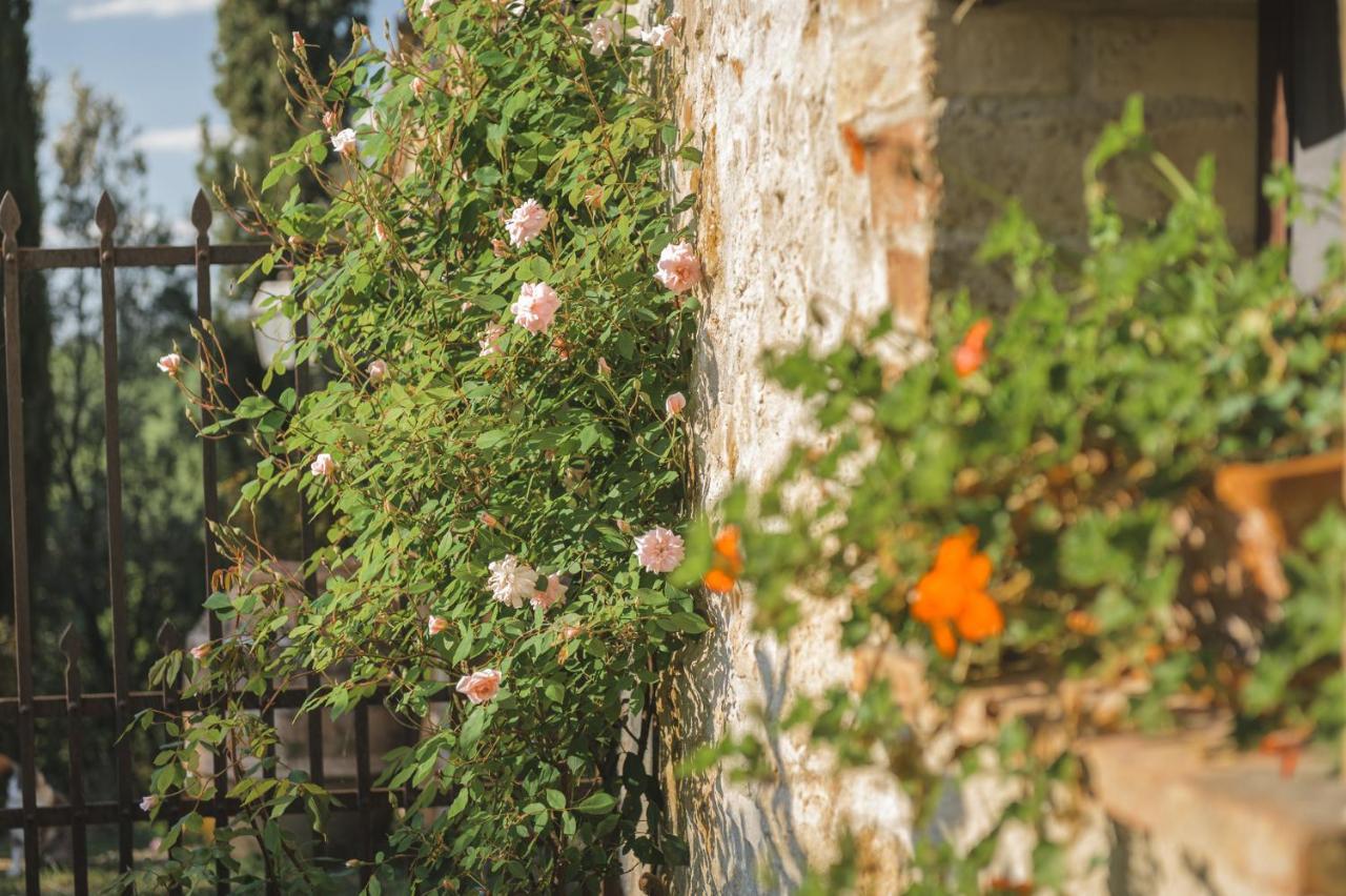 Agriturismo Cretaiole Pienza Extérieur photo