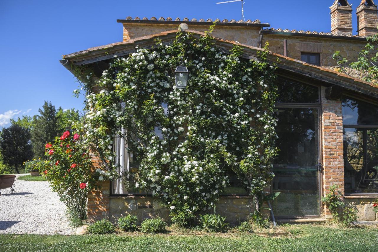 Agriturismo Cretaiole Pienza Extérieur photo