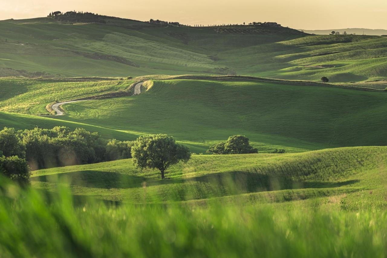 Agriturismo Cretaiole Pienza Extérieur photo
