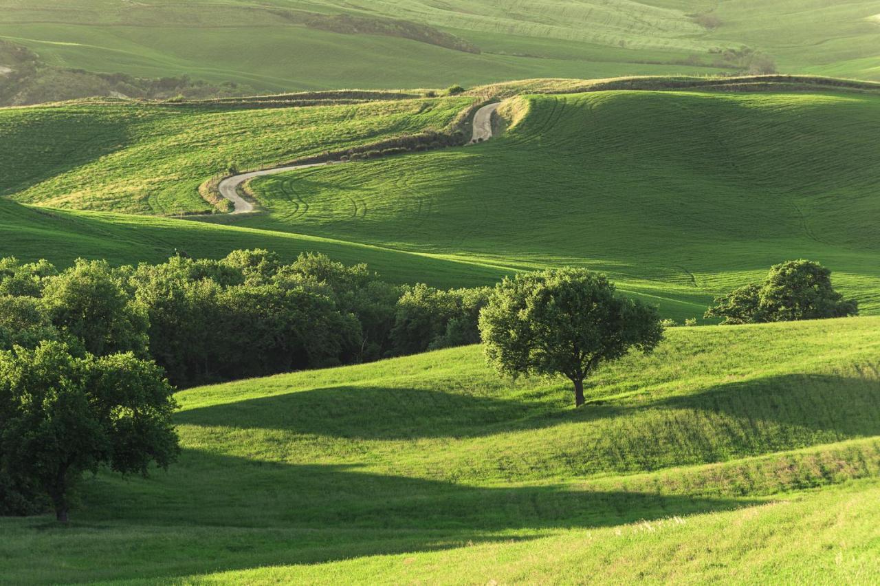 Agriturismo Cretaiole Pienza Extérieur photo