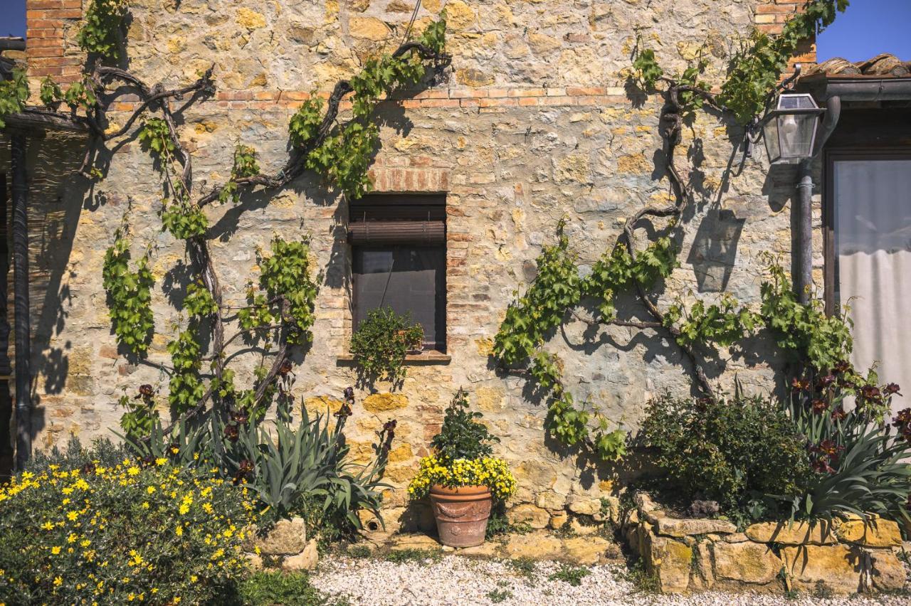 Agriturismo Cretaiole Pienza Extérieur photo