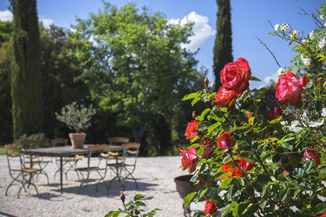 Agriturismo Cretaiole Pienza Extérieur photo