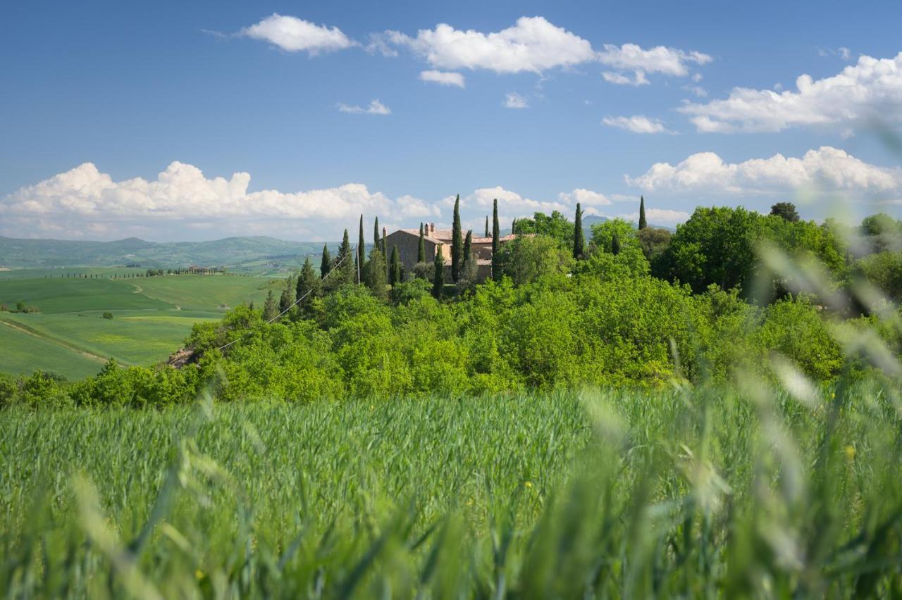Agriturismo Cretaiole Pienza Extérieur photo